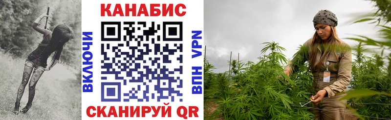 omg как зайти  Красновишерск  Марихуана тримм 